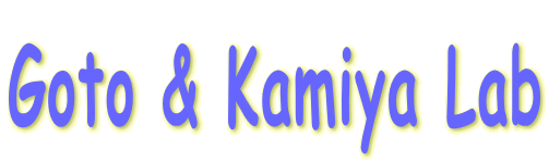 Goto & Kamiya Lab